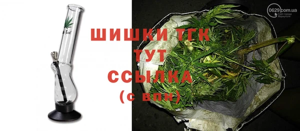 ешки Вяземский