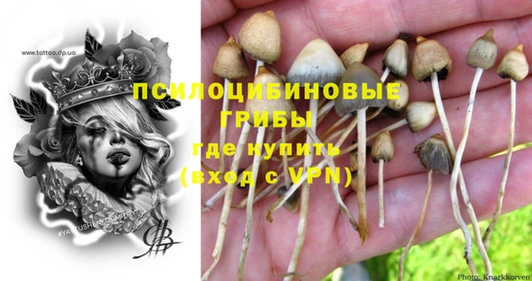 spice Волосово