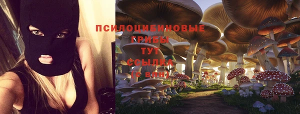 2c-b Волоколамск